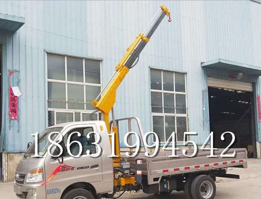 信义区车载吊机起重机1/2吨吊机车载小型车载吊机小型小吊机220V